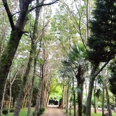 Oasis En Ponte San Lazaro A Coruna