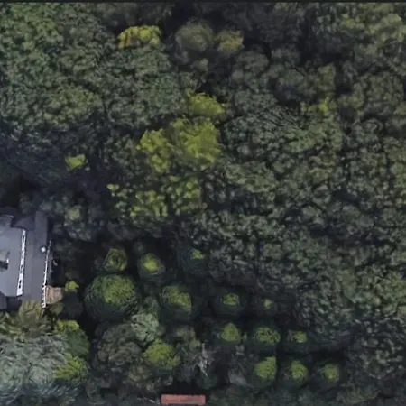 홈스테이 Oasis En Ponte San Lazaro