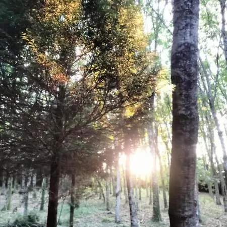 Δωμάτια σε οικογενειακή κατοικία Oasis En Ponte San Lazaro *