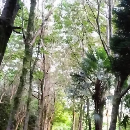 Oasis En Ponte San Lazaro A Coruña
